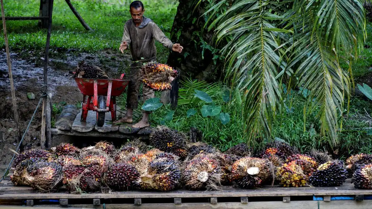 BPDP Arahkan Mahasiswa Kembangkan Nilai Tambah Komoditas Perkebunan