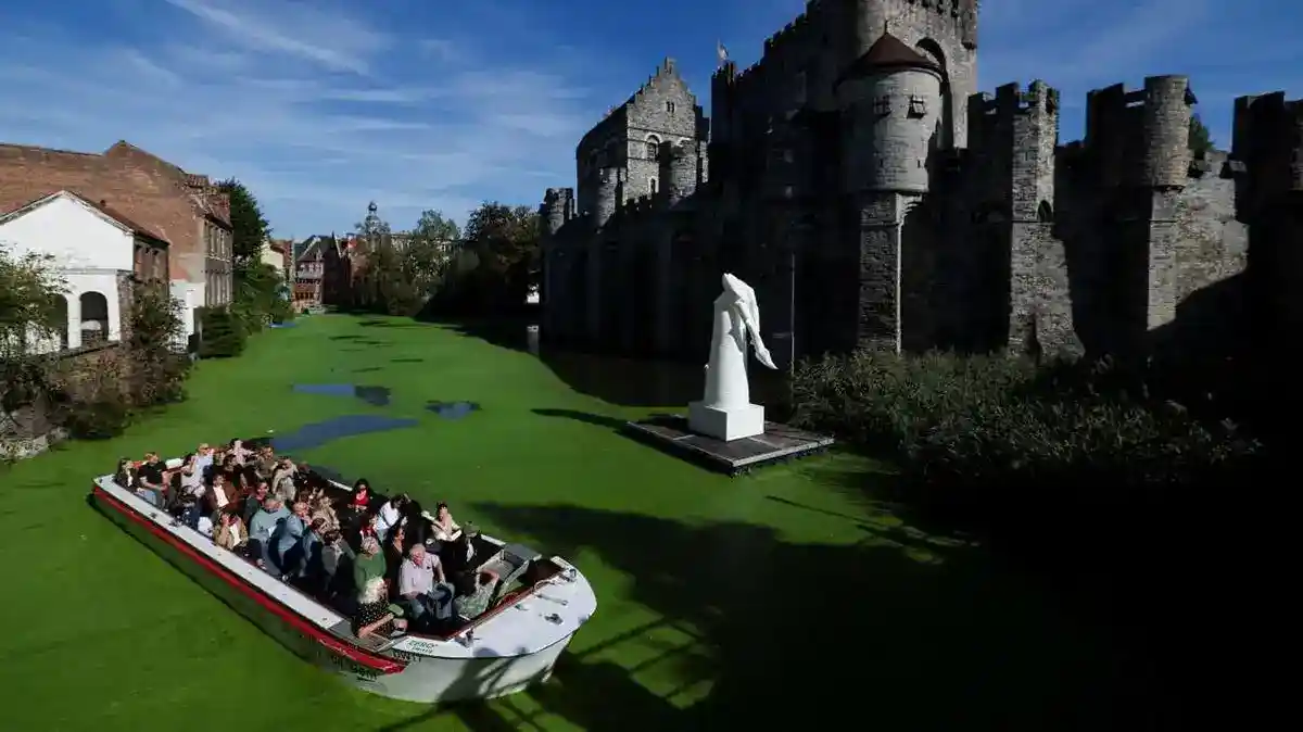 Duckweed Mengubah Kanal Bersejarah Ghent Menjadi Hijau Terang