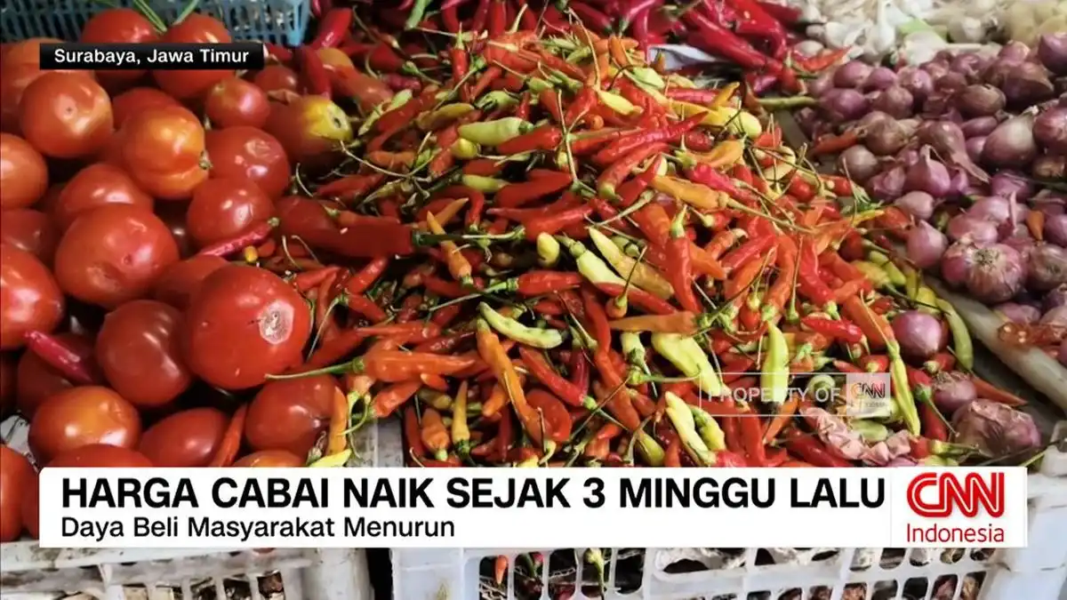 Kenaikan Harga Cabai Rawit Berlanjut Selama Tiga Pekan di Pasar Dukuh Kupang