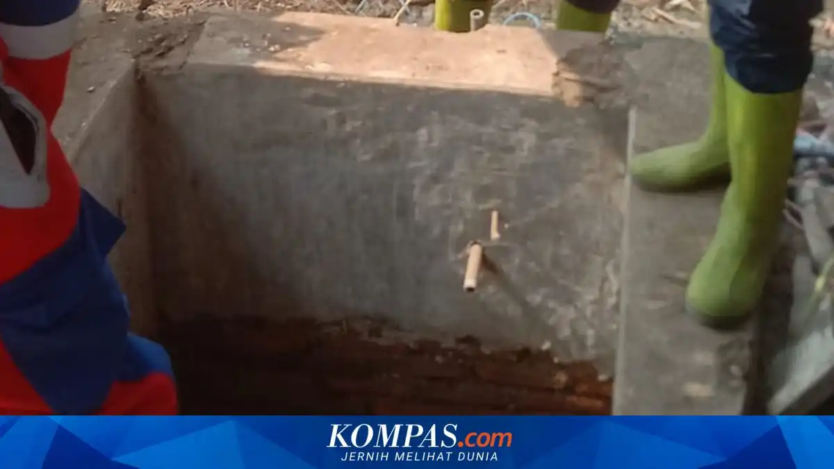 Sapi Limusin Terperosok ke Sumur Sedalam 20 Meter di Situbondo, Evakuasi Terkendala
