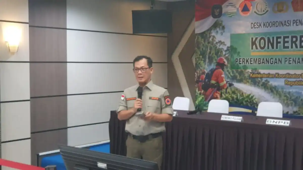 Karhutla Merauke Berdampak pada 10 Distrik, Lahan Terbakar Capai 63 Hektare