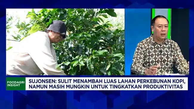 Produktivitas Petani dan Regulasi Global Membayangi Ekspor Kopi Indonesia