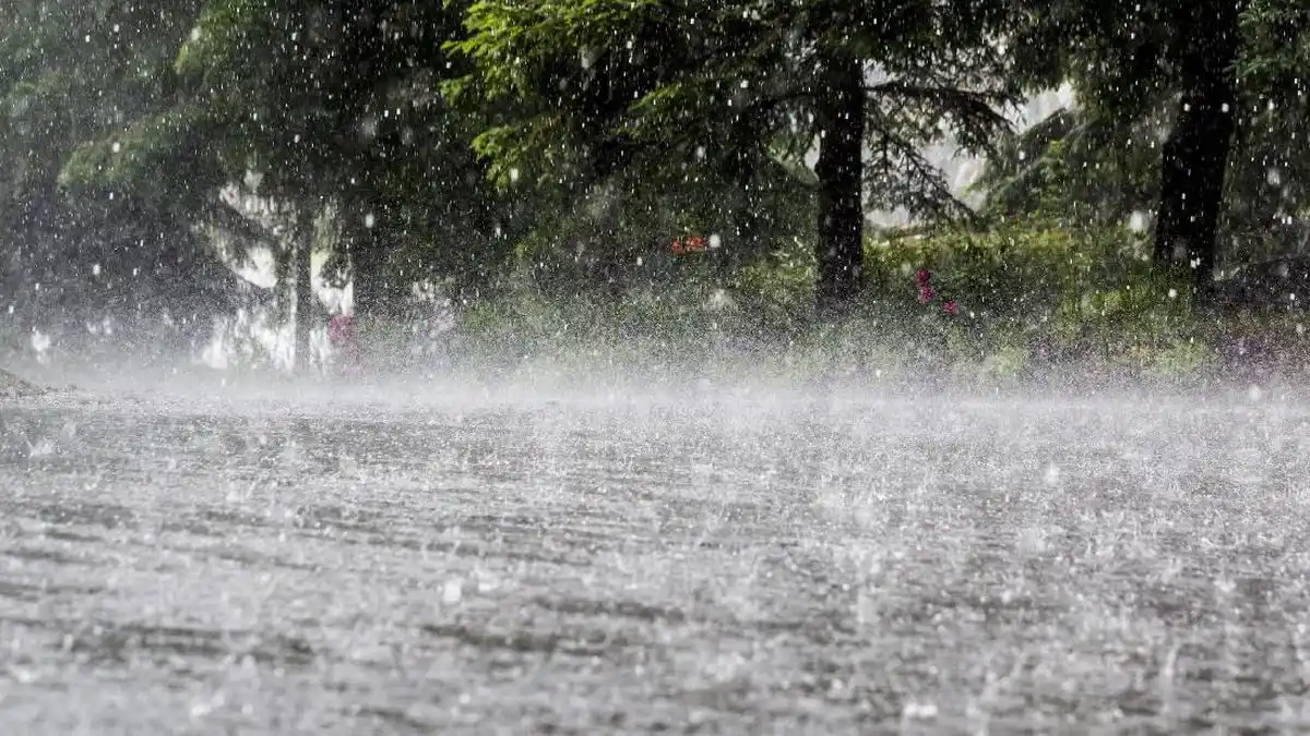 Hujan Lebat dan Angin Kencang Picu Banjir di Langkat serta Binjai
