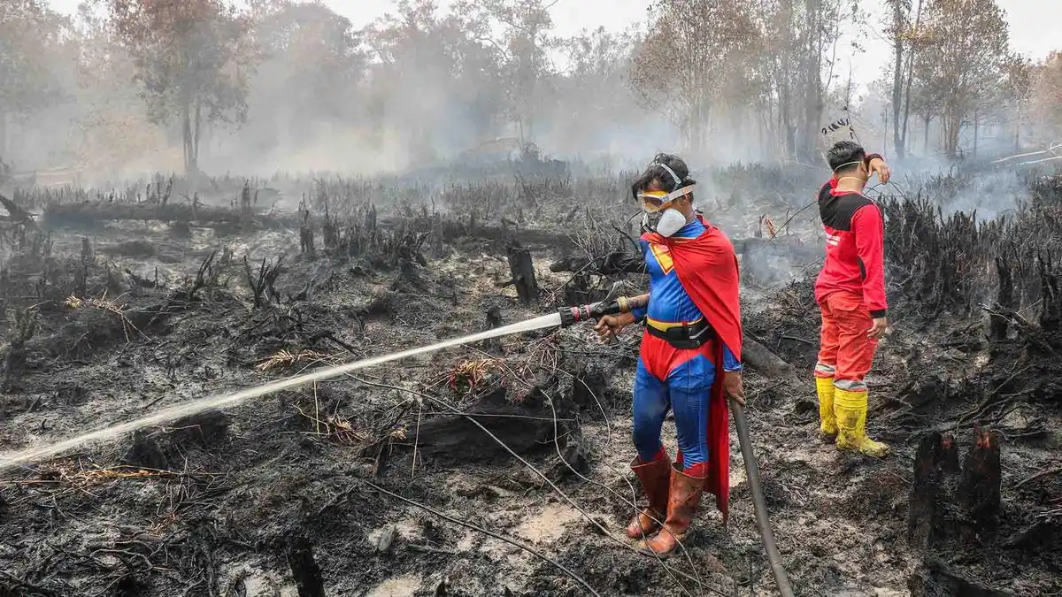 Pemerintah Kerahkan Berbagai Unsur Tangani Karhutla, Puluhan Orang Jadi Tersangka