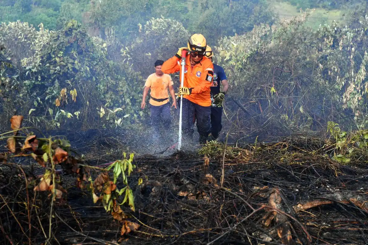 Kabut Asap Memburuk, Sekolah Dasar dan SMP di Balikpapan Beralih ke Pembelajaran dari Rumah