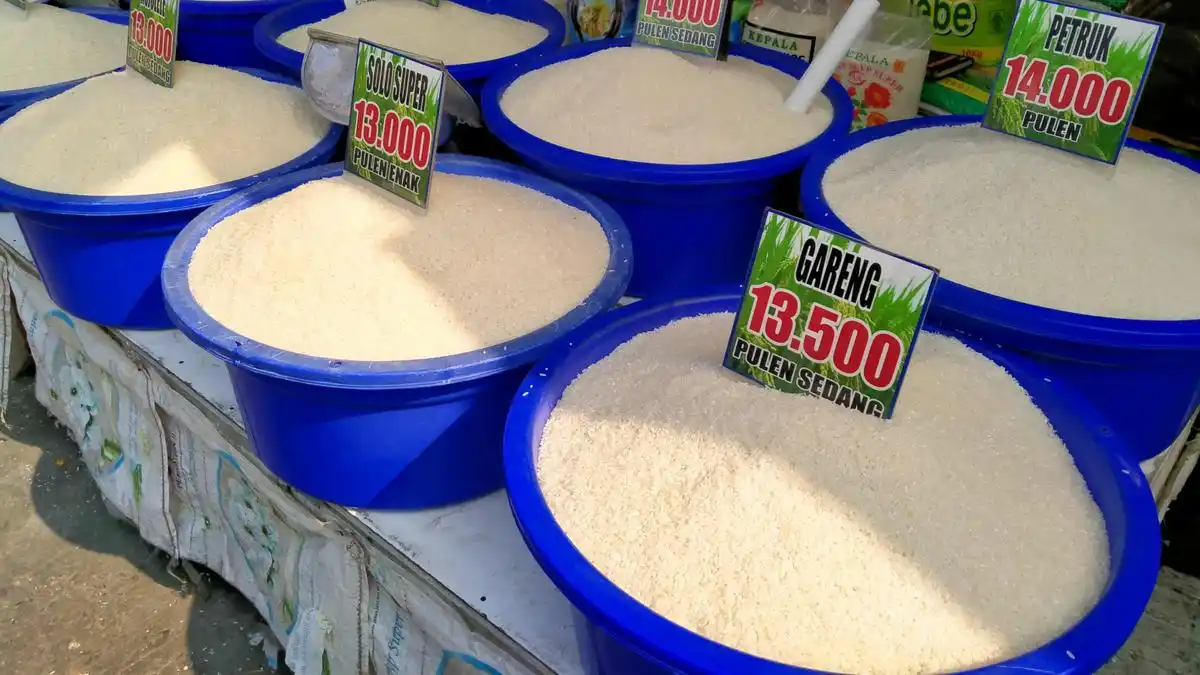 Harga Beras Turun hingga Rp13.850 per Kilogram, Mentan Soroti Anomali Pangan