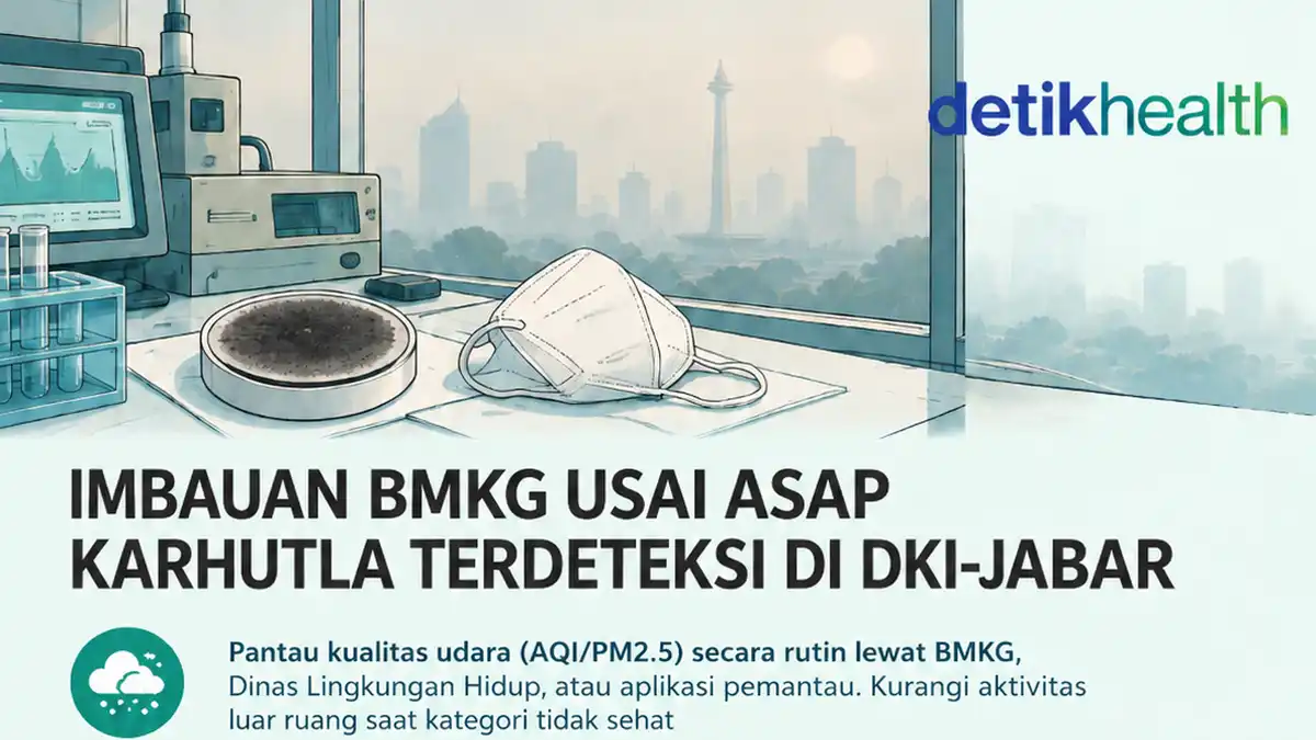 Asap Karhutla Terdeteksi di Atmosfer DKI, BMKG Minta Warga