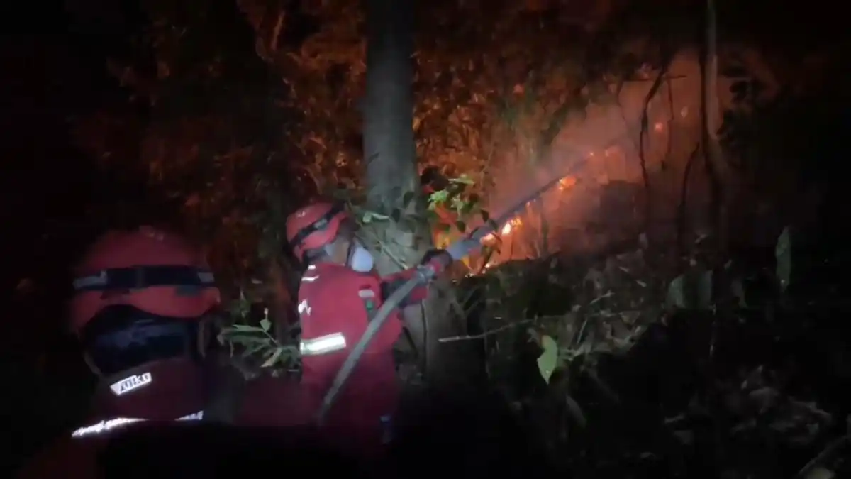 Karhutla di TN Bantimurung Bulusaraung Meluas, Sembilan Titik Api Terpantau