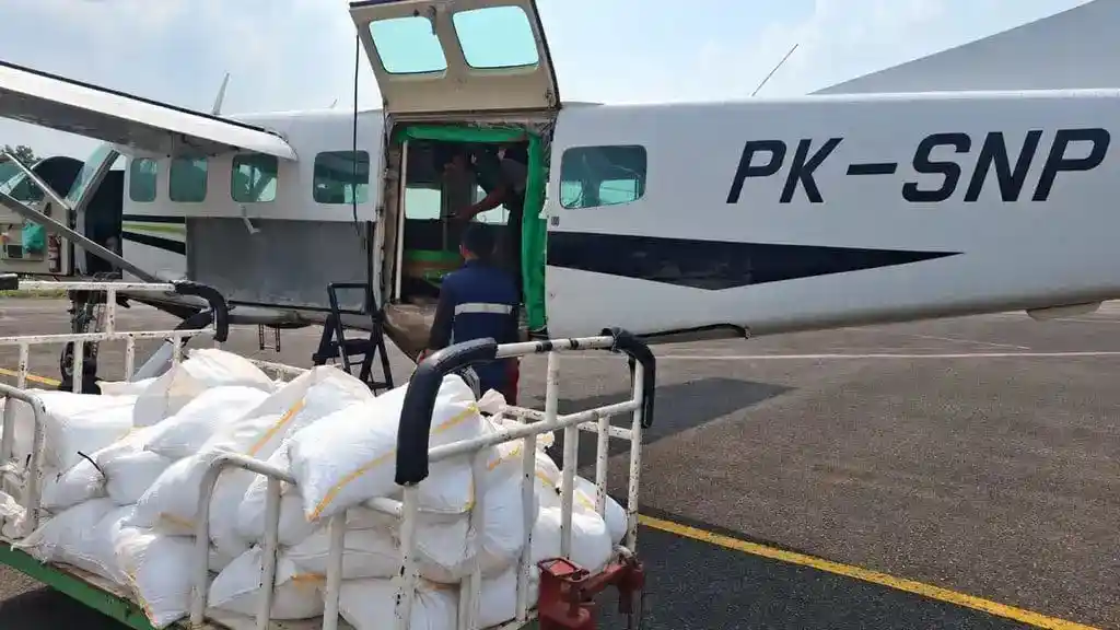 BNPB Gunakan 2,4 Ton Dry Ice untuk Tangani Karhutla di Sumatra Selatan