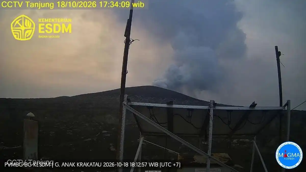 Anak Krakatau Erupsi Delapan Kali, Abu Tertinggi Teramati 500 Meter