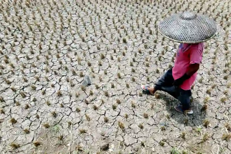 Bantul Hadapi Kekeringan Berkepanjangan dengan Distribusi Air dan Sumur Bor