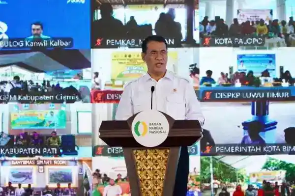 Cadangan Beras Pemerintah Naik Jadi 4,56 Juta Ton, Disiapkan untuk Antisipasi El Nino