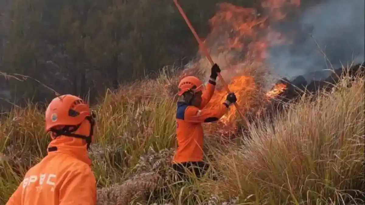 Korban Jiwa Karhutla Bromo Bertambah Setelah Suraji Meninggal di Surabaya