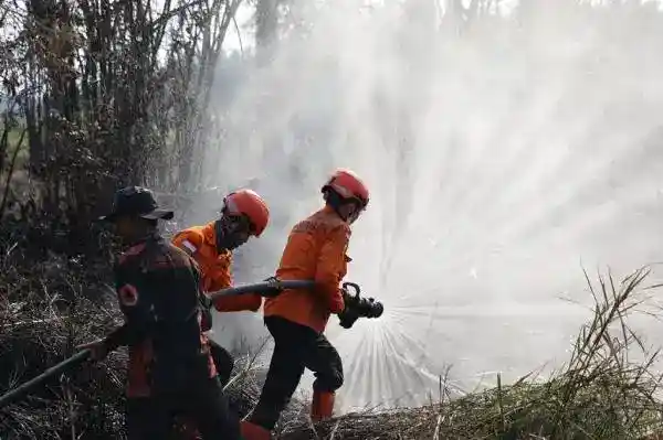 Daniel Johan Dorong Revisi UU Kehutanan untuk Menindak Tegas Pelaku Karhutla