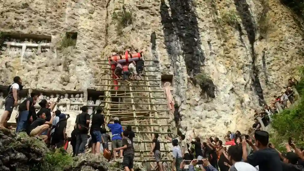 Karhutla di Baruppu’ Selatan Hanguskan Puluhan Liang Batu Pemakaman Toraja