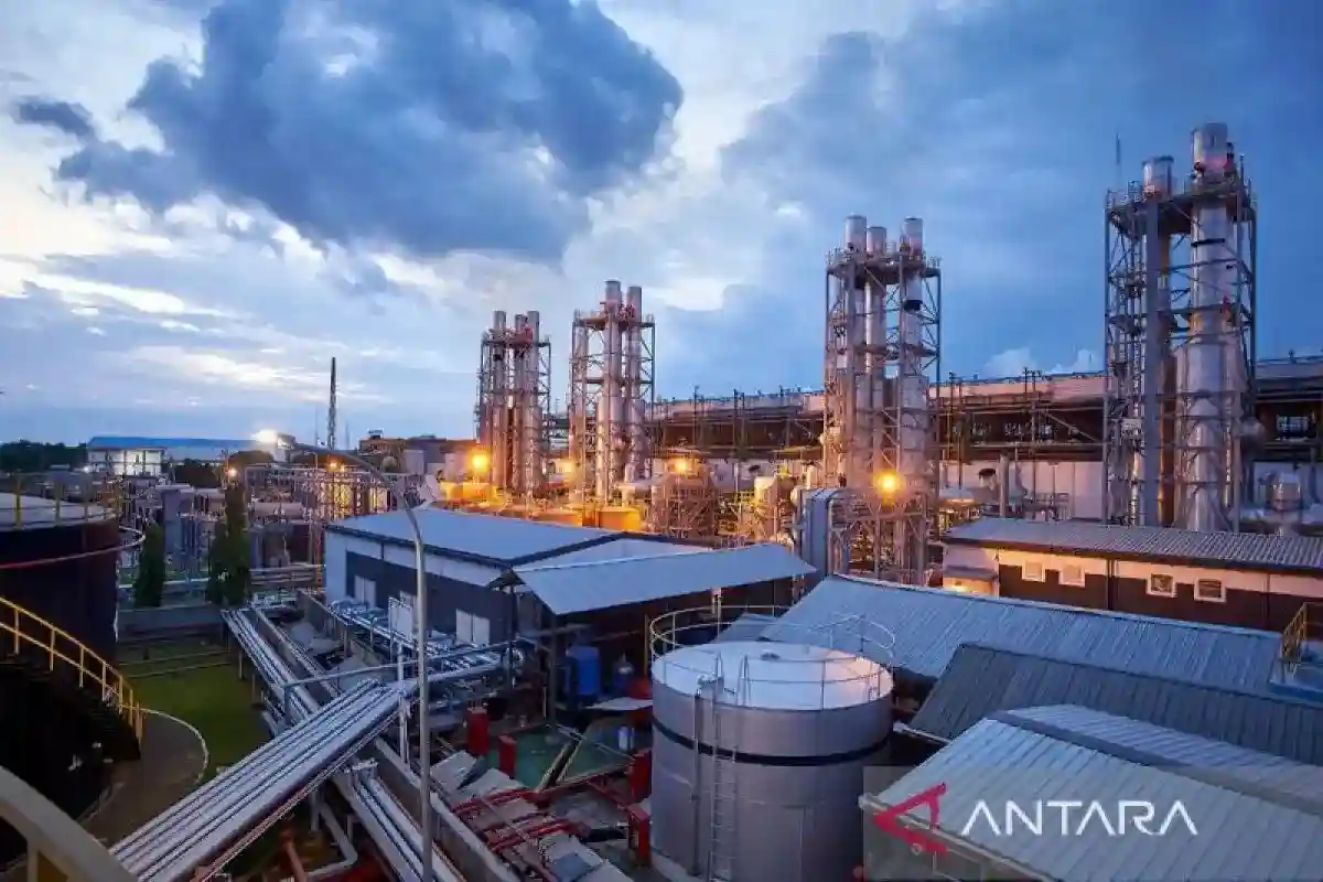 Hidrogen dan Amonia dalam Upaya PLN Indonesia Power Menekan Emisi Pembangkit