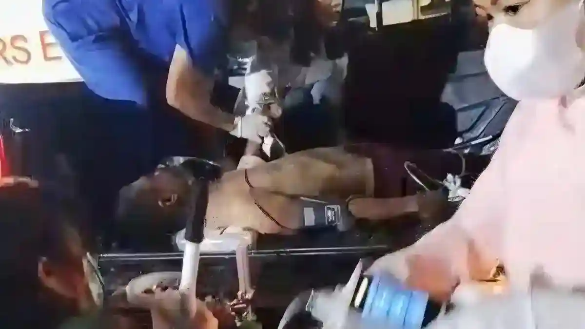 Petugas Kehutanan Tewas Tertimpa Pohon Saat Menangani Karhutla Toraja Utara