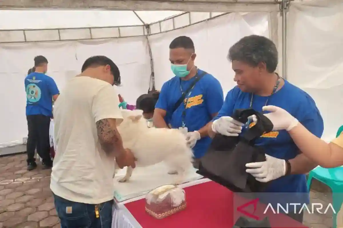 Mimika Gelar Vaksinasi Rabies Gratis, Siapkan 700 Dosis untuk Hewan