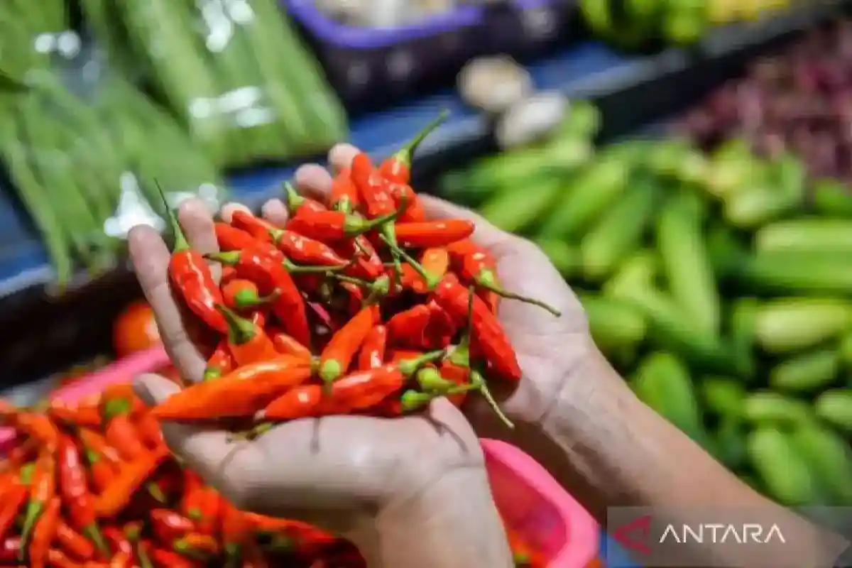 Catatan PIHPS: Cabai Rawit Merah Rp96.200 per Kilogram, Telur Rp29.350